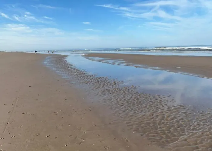 Апартаменты J.